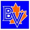BV Little League logo